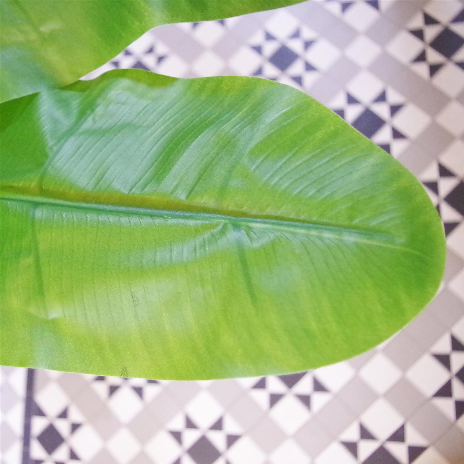 Artificial Banana Tree Tropical Plant Huge 6ft