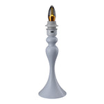 Accent Feather Table Lamp With Led Light