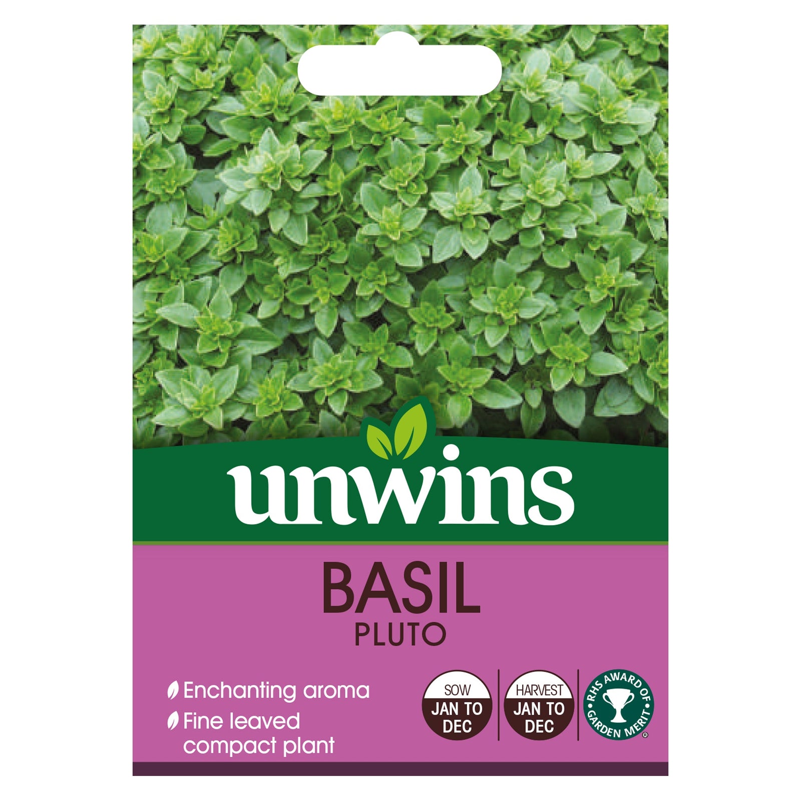 Basil Seeds Pluto - Compact Aromatic Variety | 200 Seeds | Green