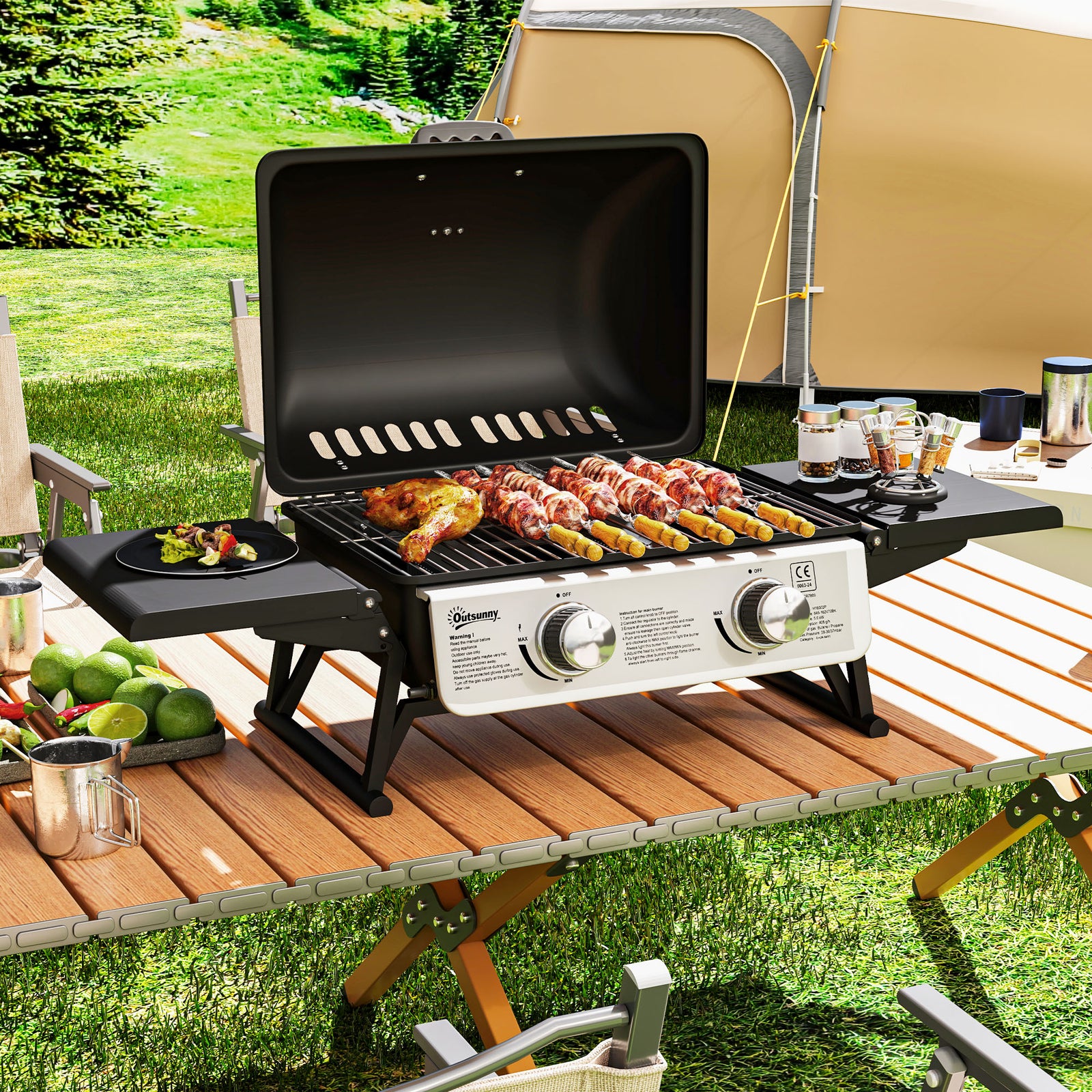 2 Burner Foldable Gas Bbq Grill