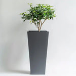 Zinc Galvanised Tall Flared Tapered Square Planter | 30cm x 30cm x 70cm | Gray