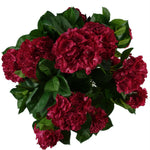 Artificial 75cm Pink Bush Hydrangea Plant Potted