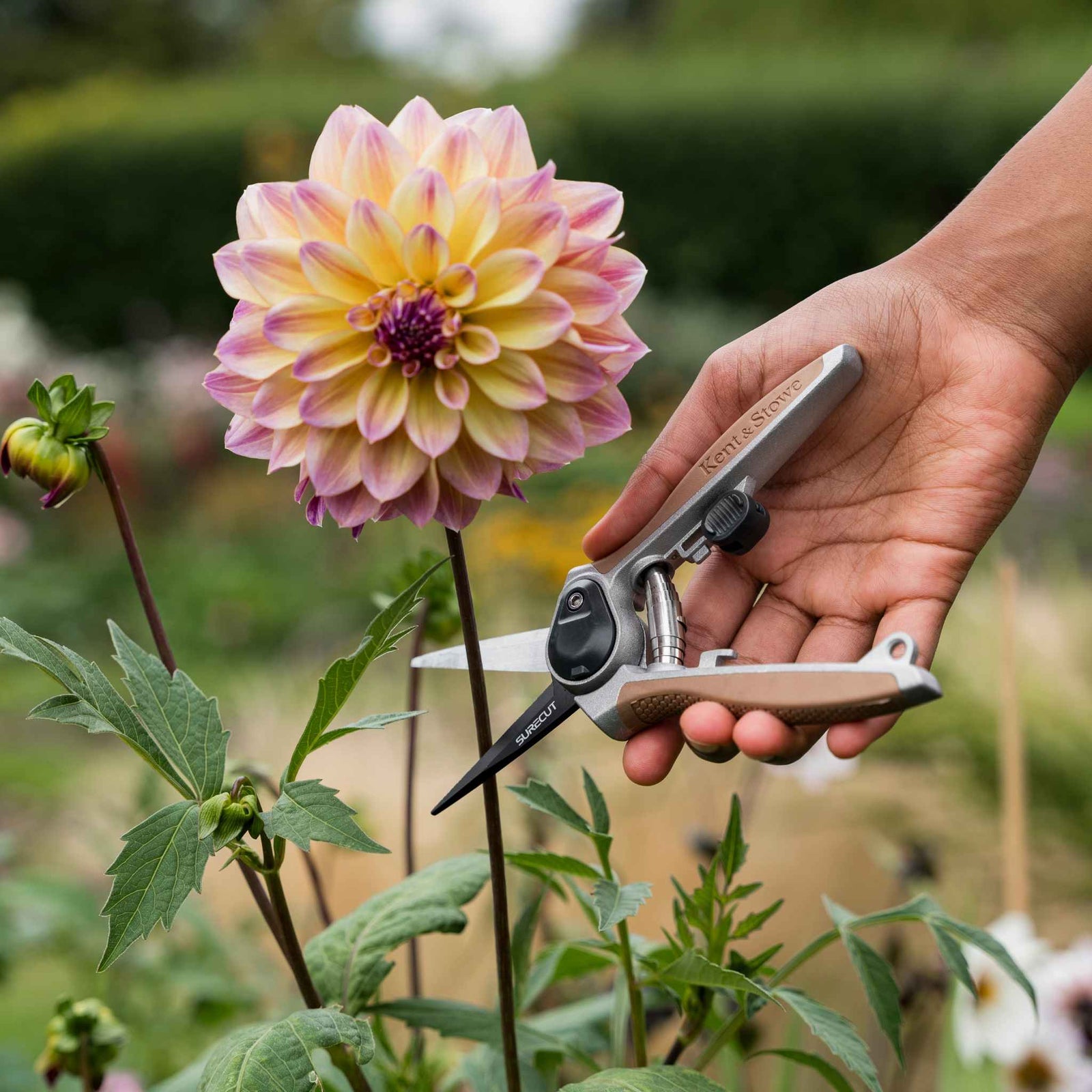 Garden Life Flower Snips, Lightweight Aluminium, Sk5 Steel Blade, 6mm Cutting Diameter | Single