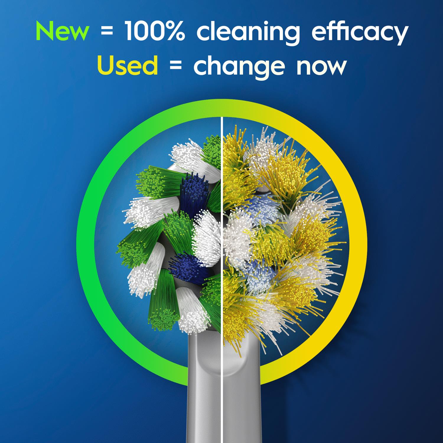 Vitality Pro Electric Rechargeable Toothbrush With 2 Brush Heads, Lilac