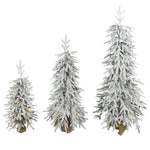 HOMCOM Prelit Flocked Artificial Christmas Tree Set Of 3, 3ft/4ft/5ft