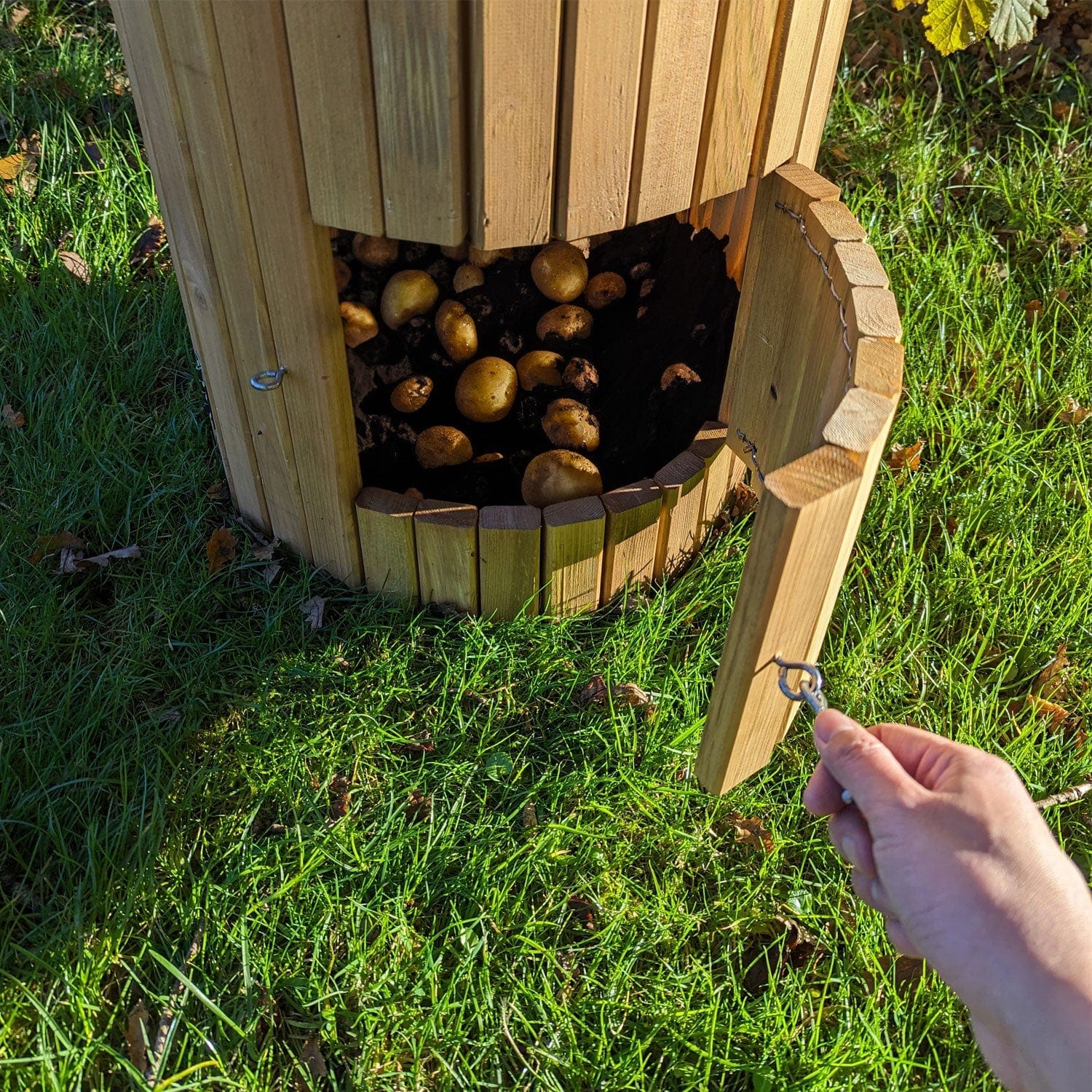 Wooden Potato Planter Barrel | 42cm x 42cm x 65cm | Brown