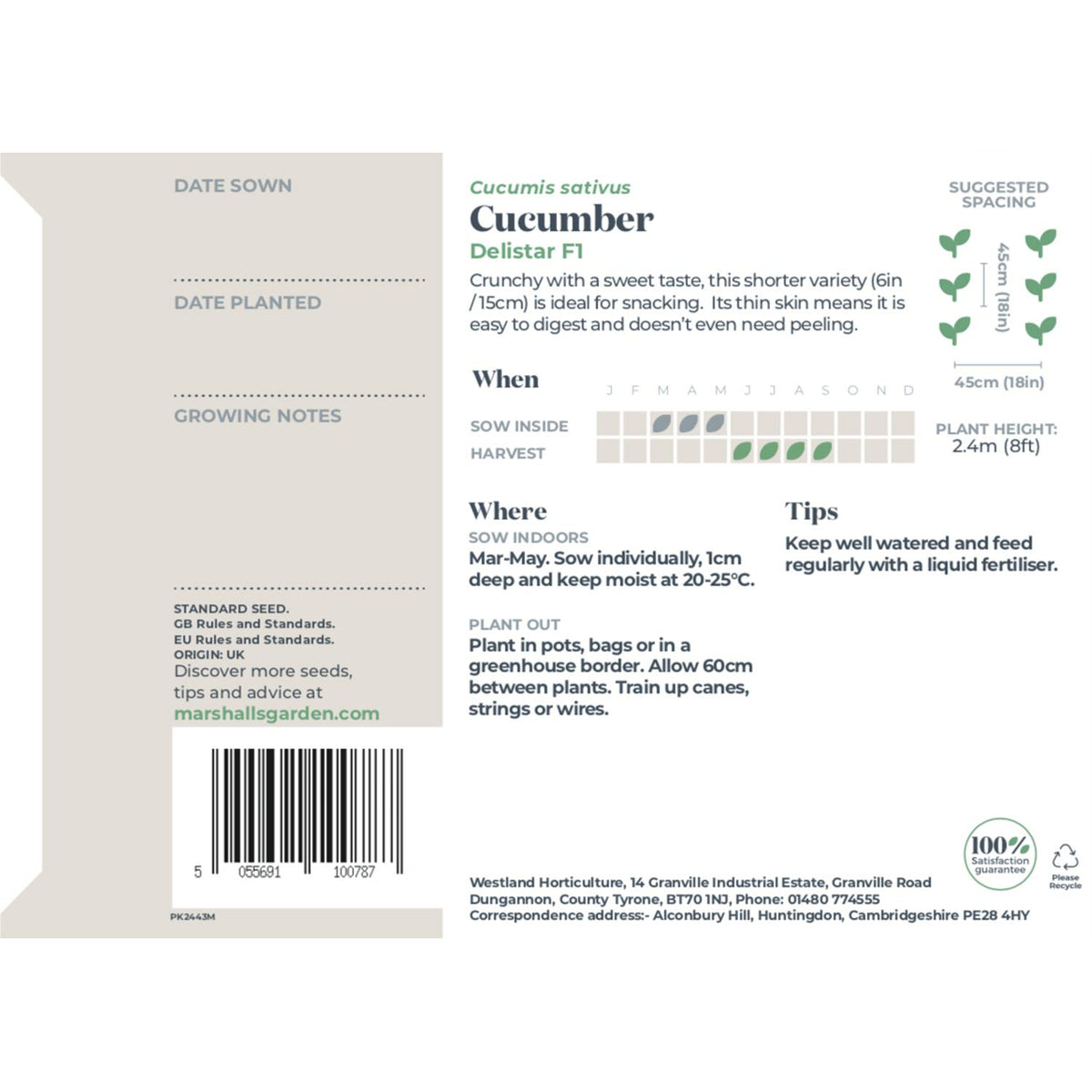 Cucumber Seeds Delistar F1 | 8 Seeds | Green