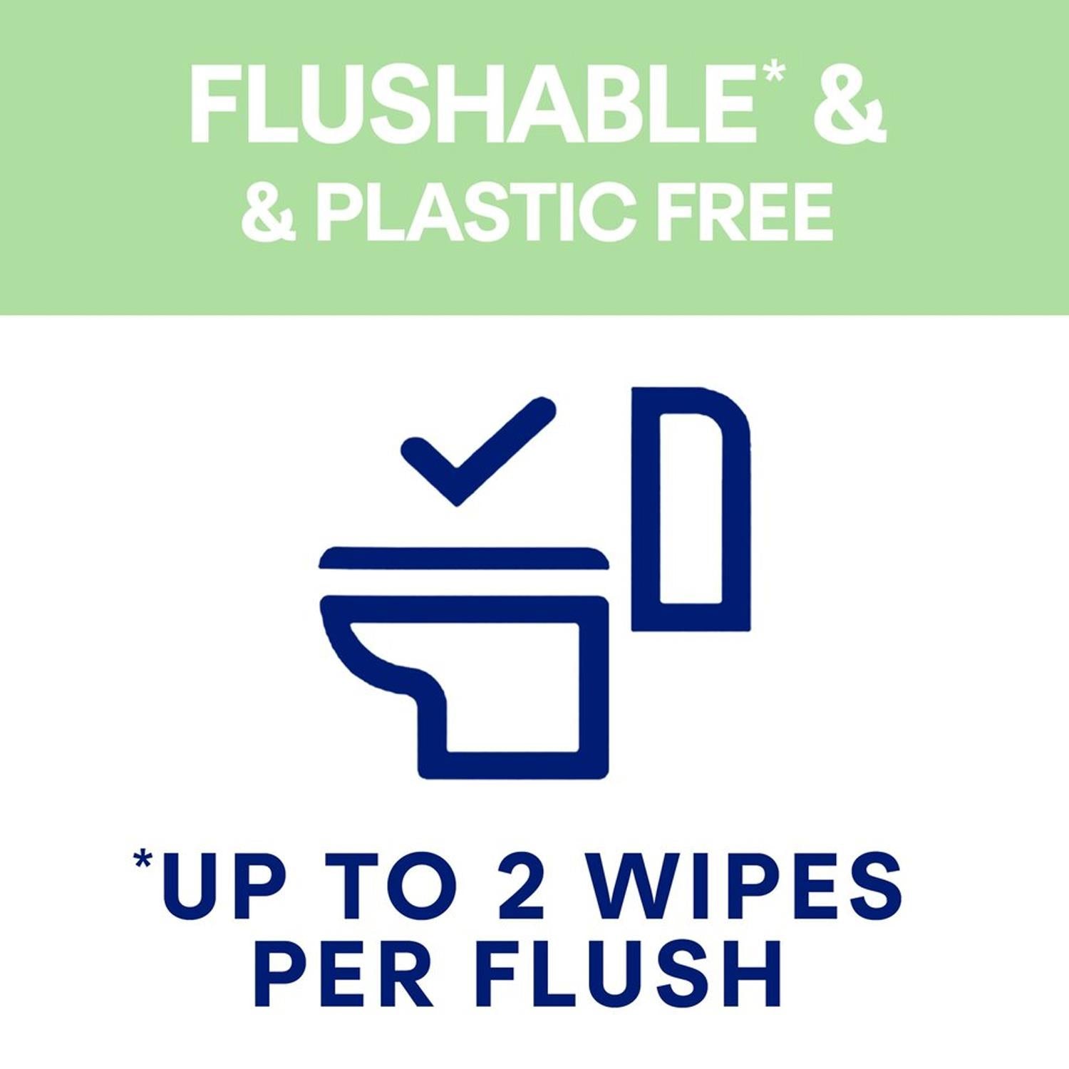 Hygiene Wipes Fresh & Soothe Aloe Enriched 36 Flushable Wipes | Set-of-12