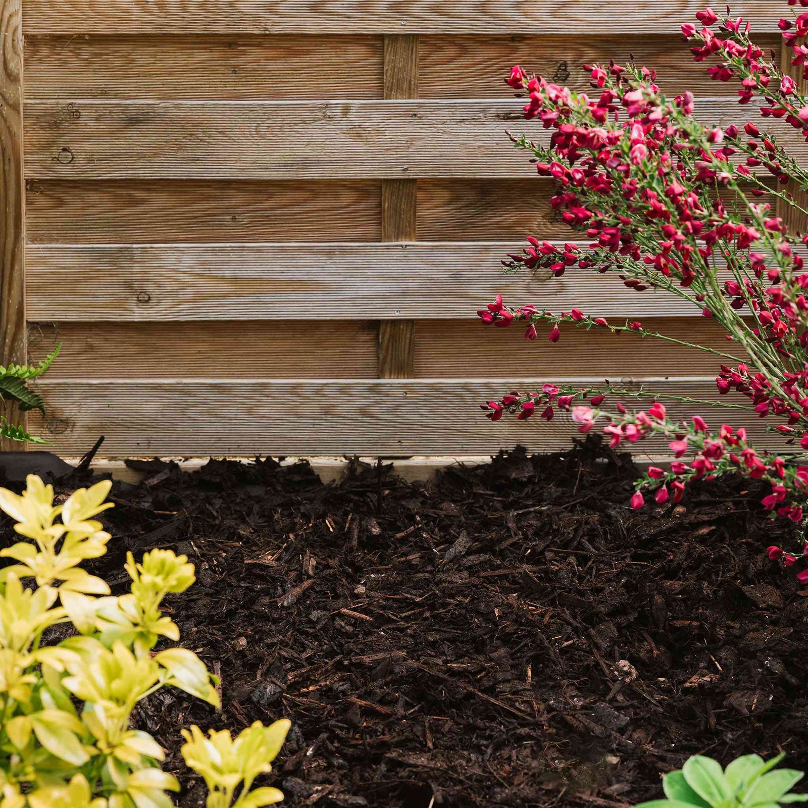 Bed And Border Chipped Bark Full Pallet | 70l