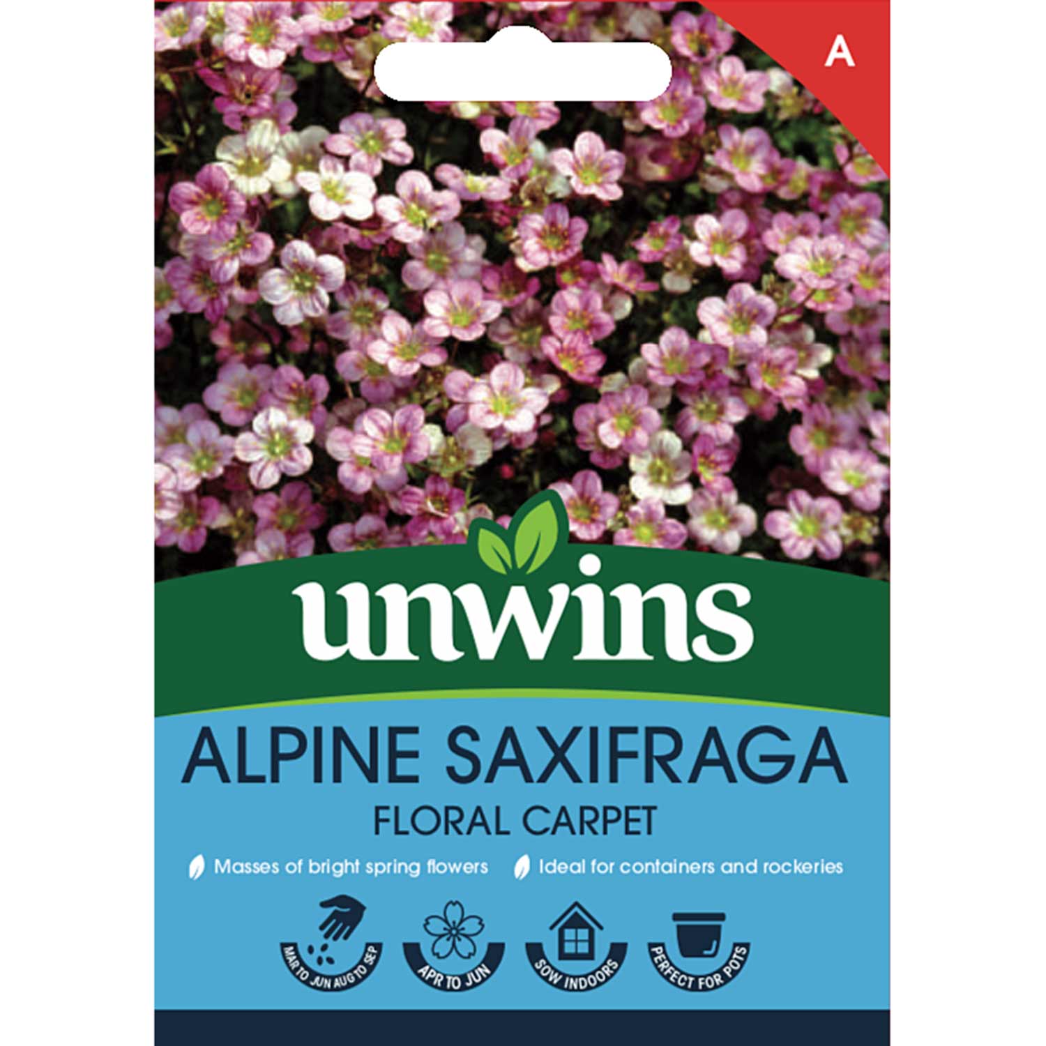 Saxifraga 'floral Carpet' Flower | 50 Seeds