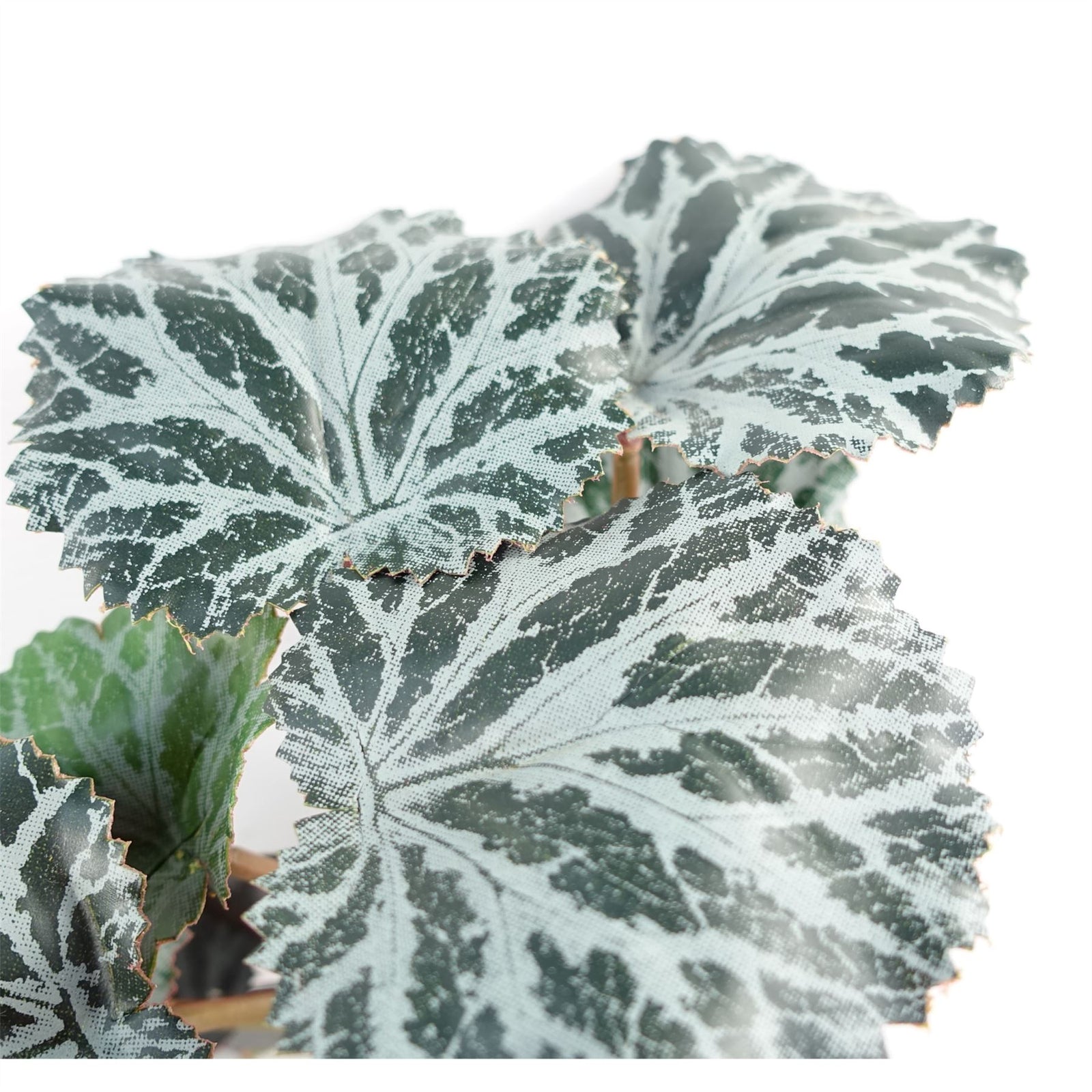 6 X 50cm Artificial Begonia Trailing  Plant