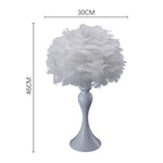 Accent Feather Table Lamp With Led Light