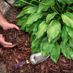 Bulrush Bark Chips - 70litre Bag | Set-of-2