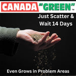 Grass Seed Bag | 500g
