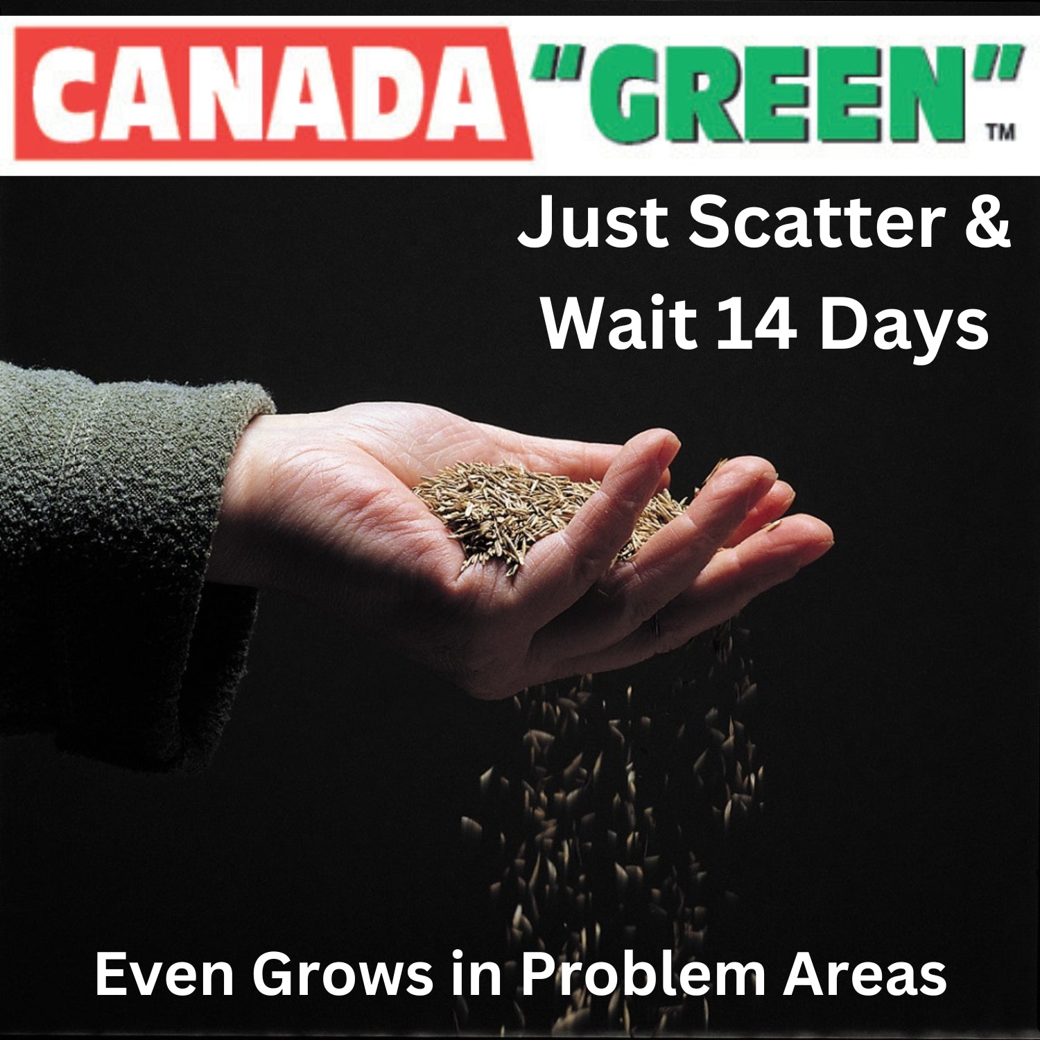 Grass Seed Bag | 500g