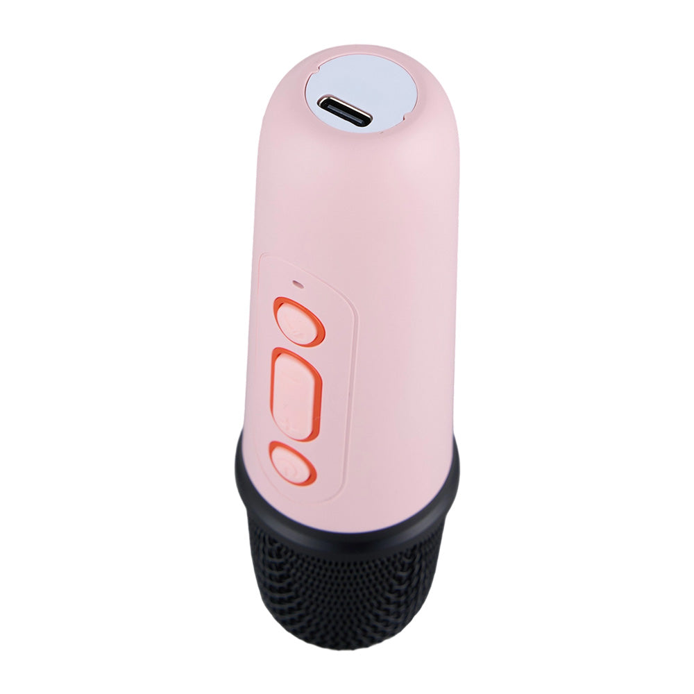 Portable Wireless Rgb Light Karaoke Speaker With 2 Microphones | Pink