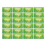 Facial Tissues X24 Boxes Of Balsam With Aloe Vera