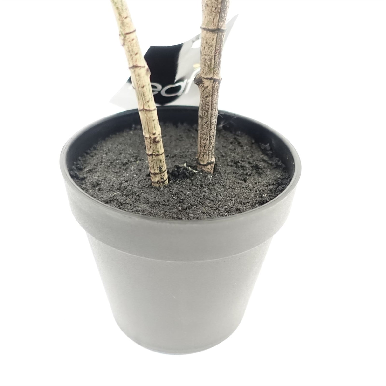 65cm Rubber Plant Artificial In Pot