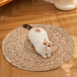 Round Floor Cat Scratching Mat