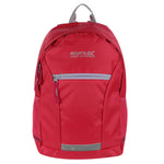 Jaxon Iii Backpack (10 Litres) | One Size | Pink