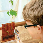 Green Science - Grow-a-maze
