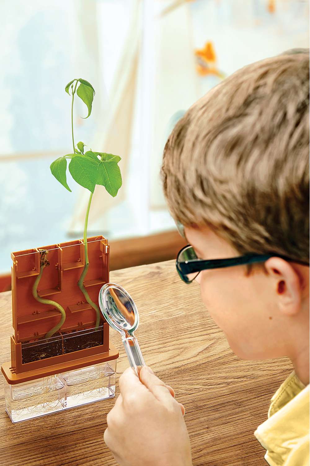 Green Science - Grow-a-maze