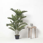 Areca Palm Tree In Pot | 120cm | Green
