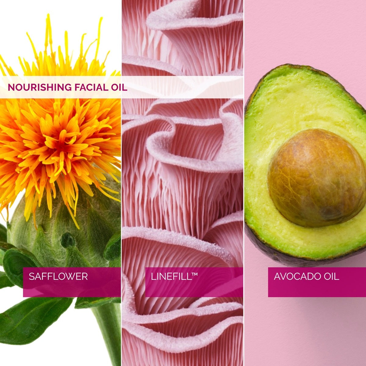 Nourishing Facial Oil 30ml