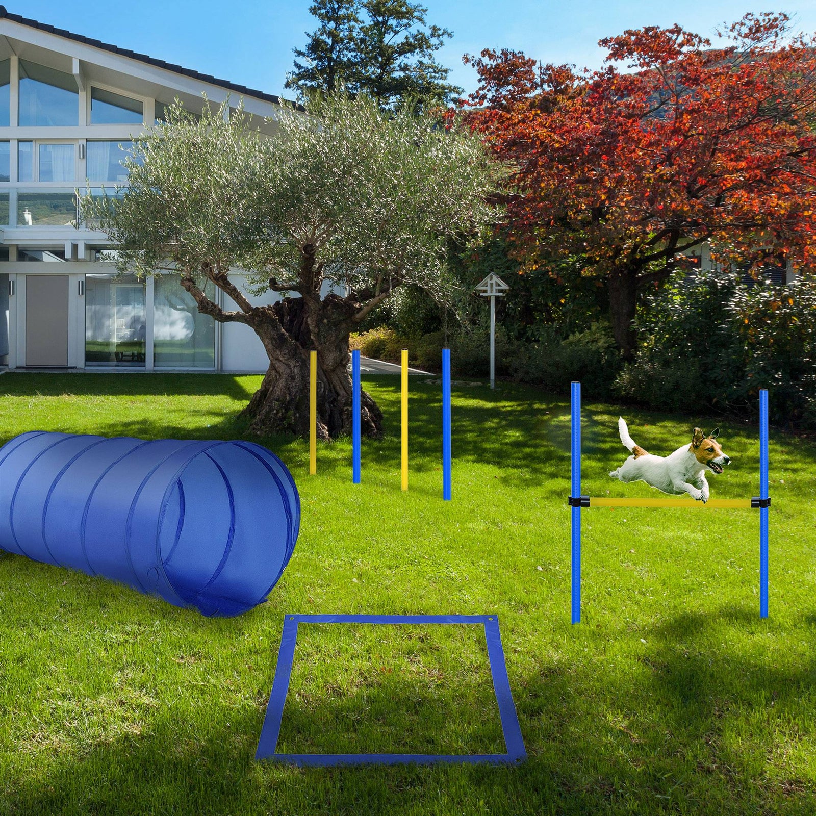 Pet Agility Training Equipment Dog Play Run Jump (poles + Hurdle + Tunnel