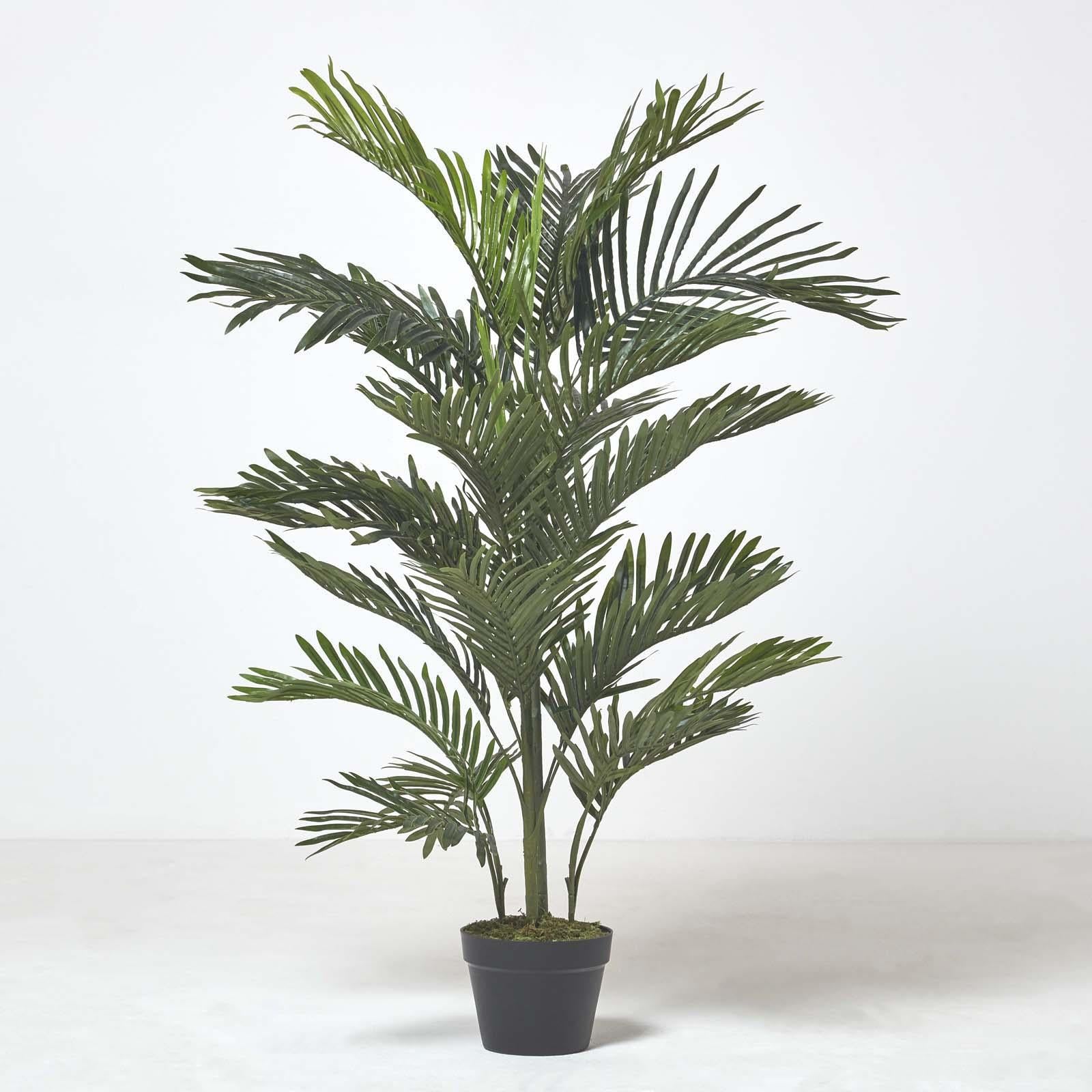 Multi Stem Green Palm Tree In Pot | 120cm | Green