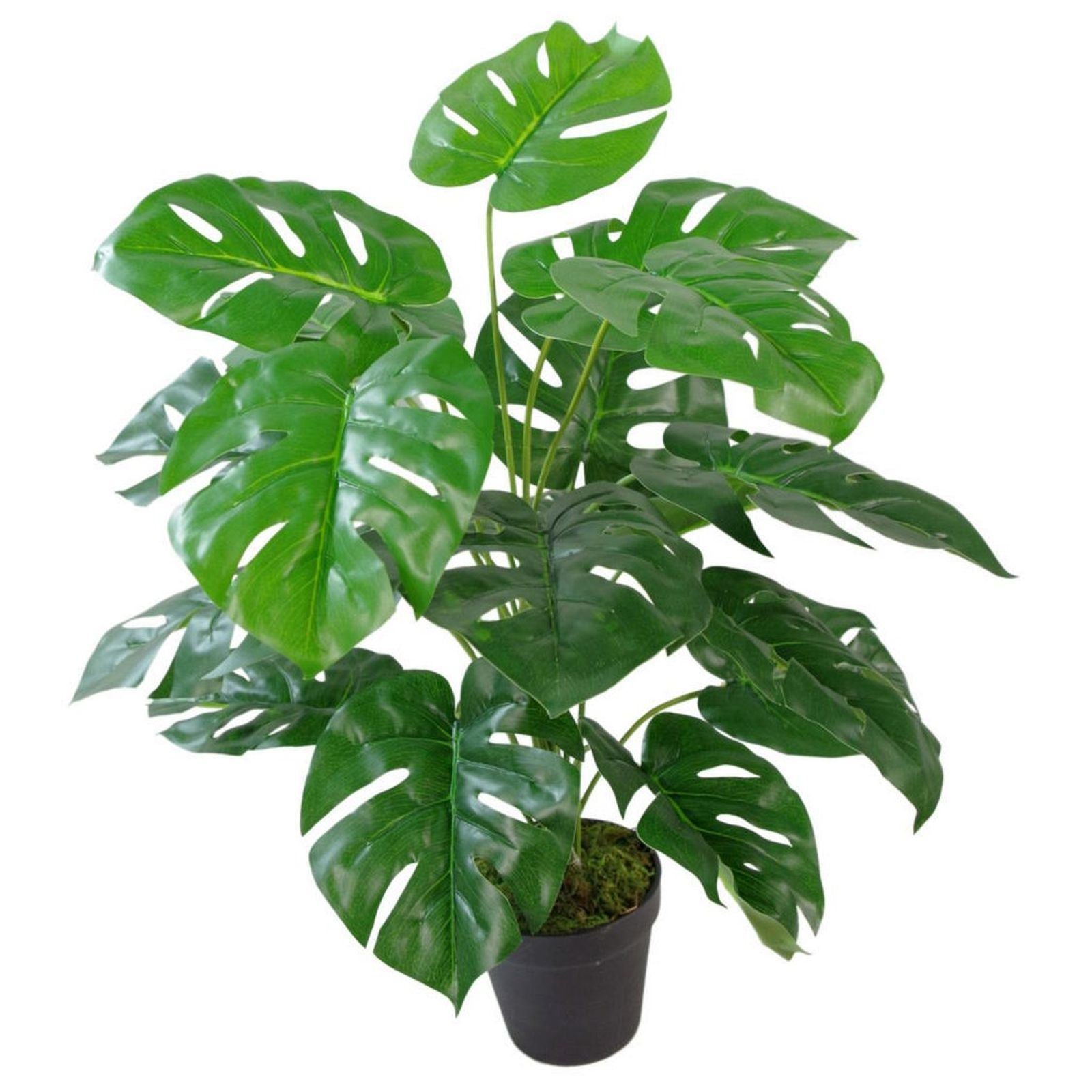 60cm  Realistic Artificial Monstera Cheese Plant