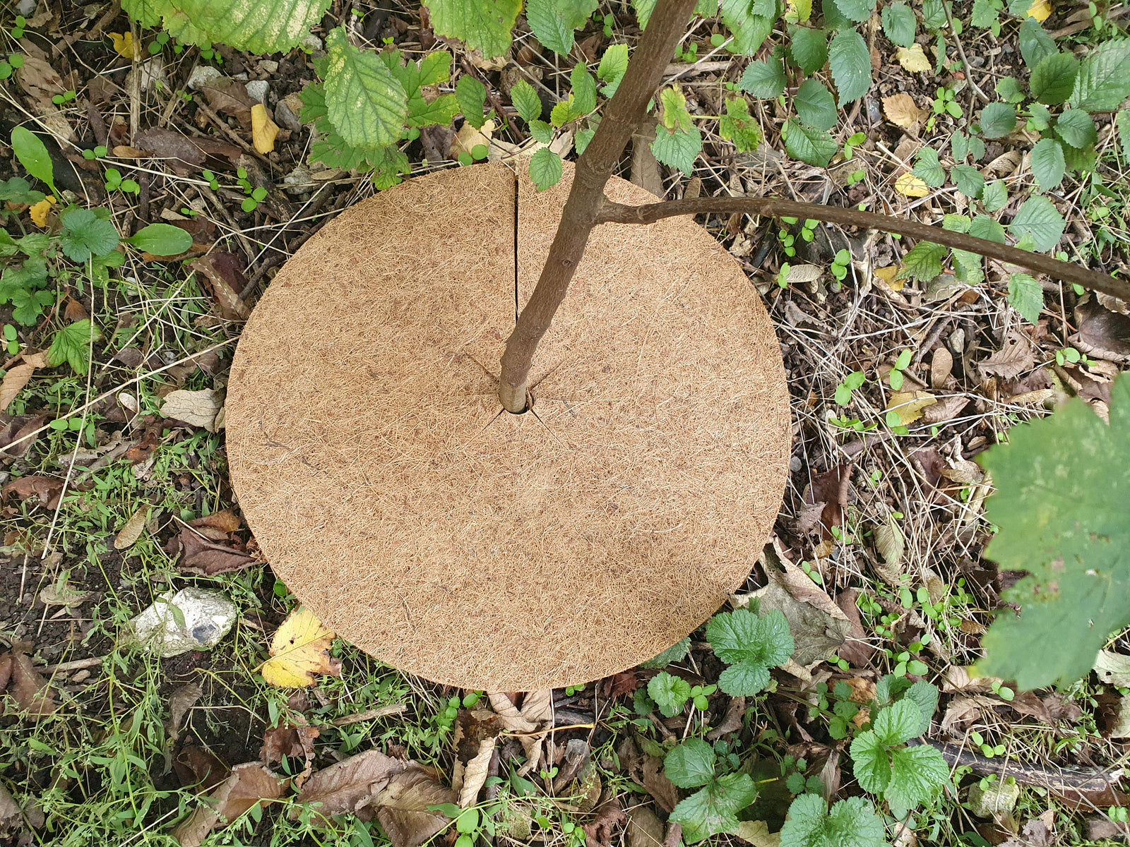 50cm Mulch Mats Pack Of 10