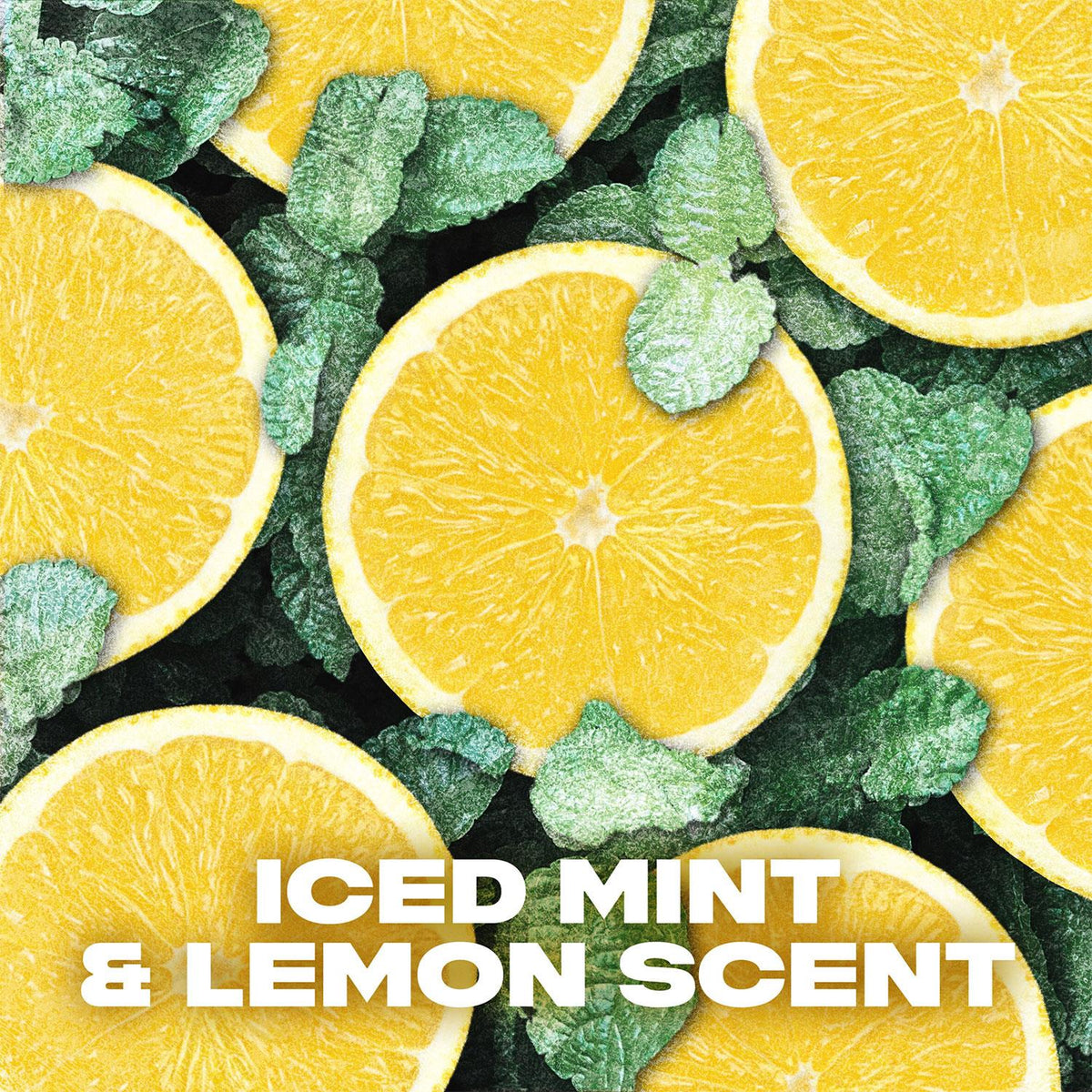 Xl Ice Chill Body Spray Deo 48h Fresh Iced Mint & Lemon Scent 200ml | Set of 30