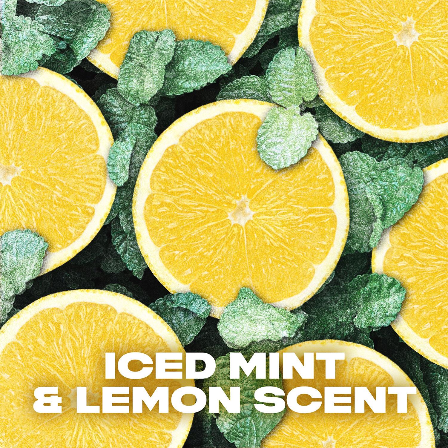 Xl Ice Chill Body Spray Deo 48h Fresh Iced Mint & Lemon Scent 200ml | Set of 36