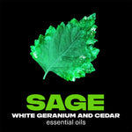 Lynx Fine Fragrance Collection Emerald Sage Deodorant Body Spray 150ml, 6 Pack