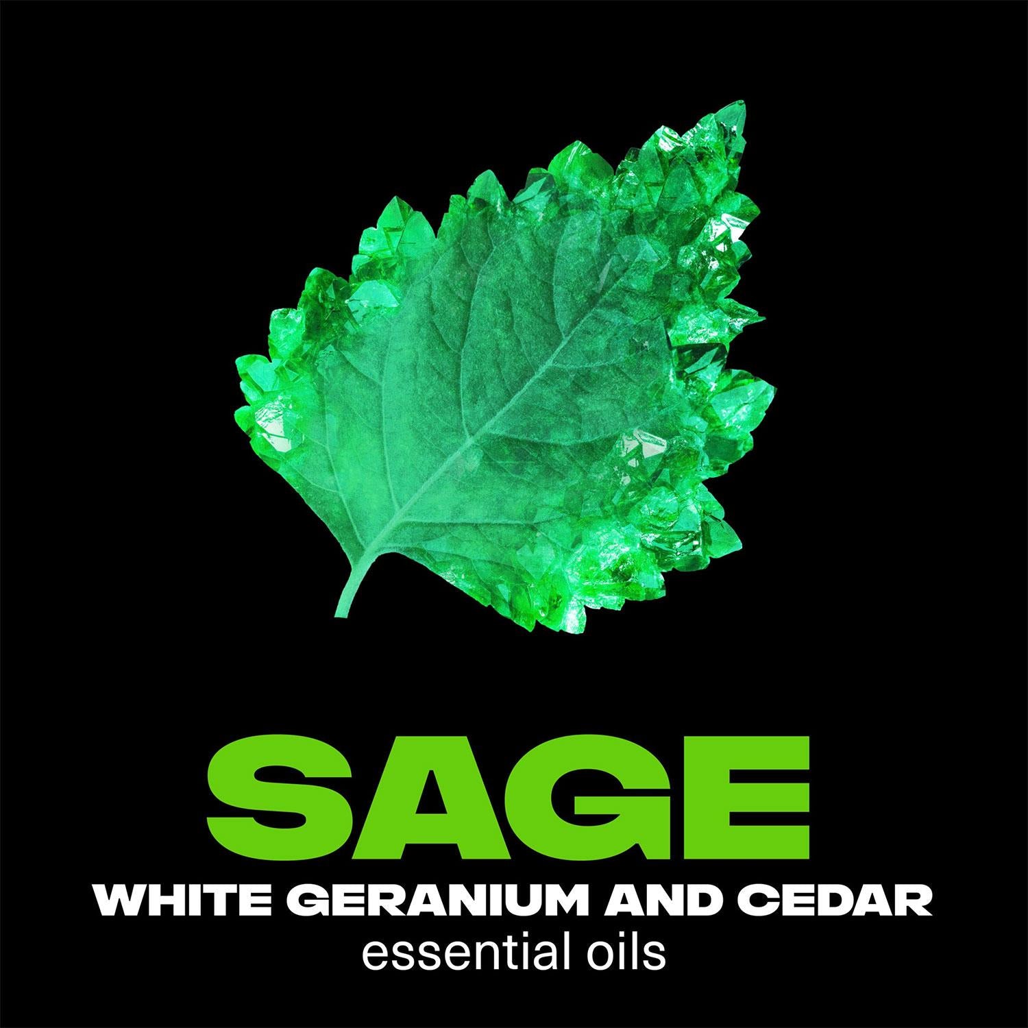 Lynx Fine Fragrance Collection Emerald Sage Deodorant Body Spray 150ml, 6 Pack