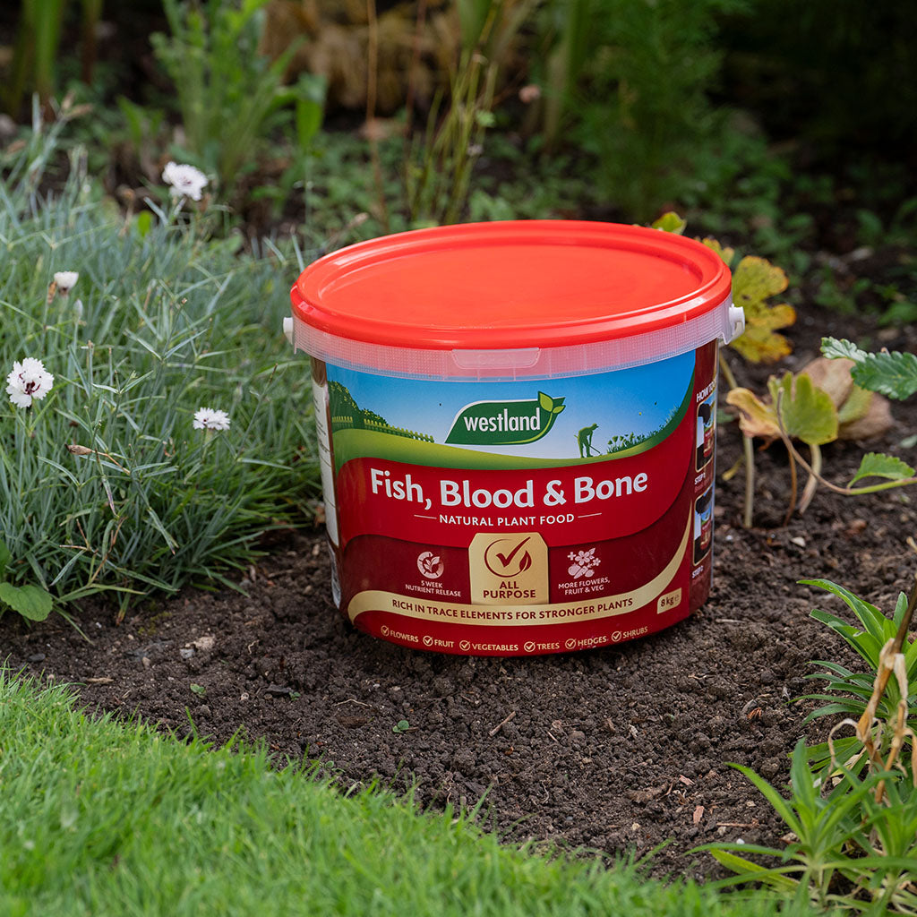 Fish, Blood & Bone All-purpose Fertilizer Npk 3-9-3 | 4kg