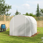 3x2m Polytunnel Greenhouse W/ Roll-up Door & Windows
