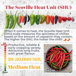 Chilli Grisu - Early Hot Restaurant-quality | 3 x 9cm | Red