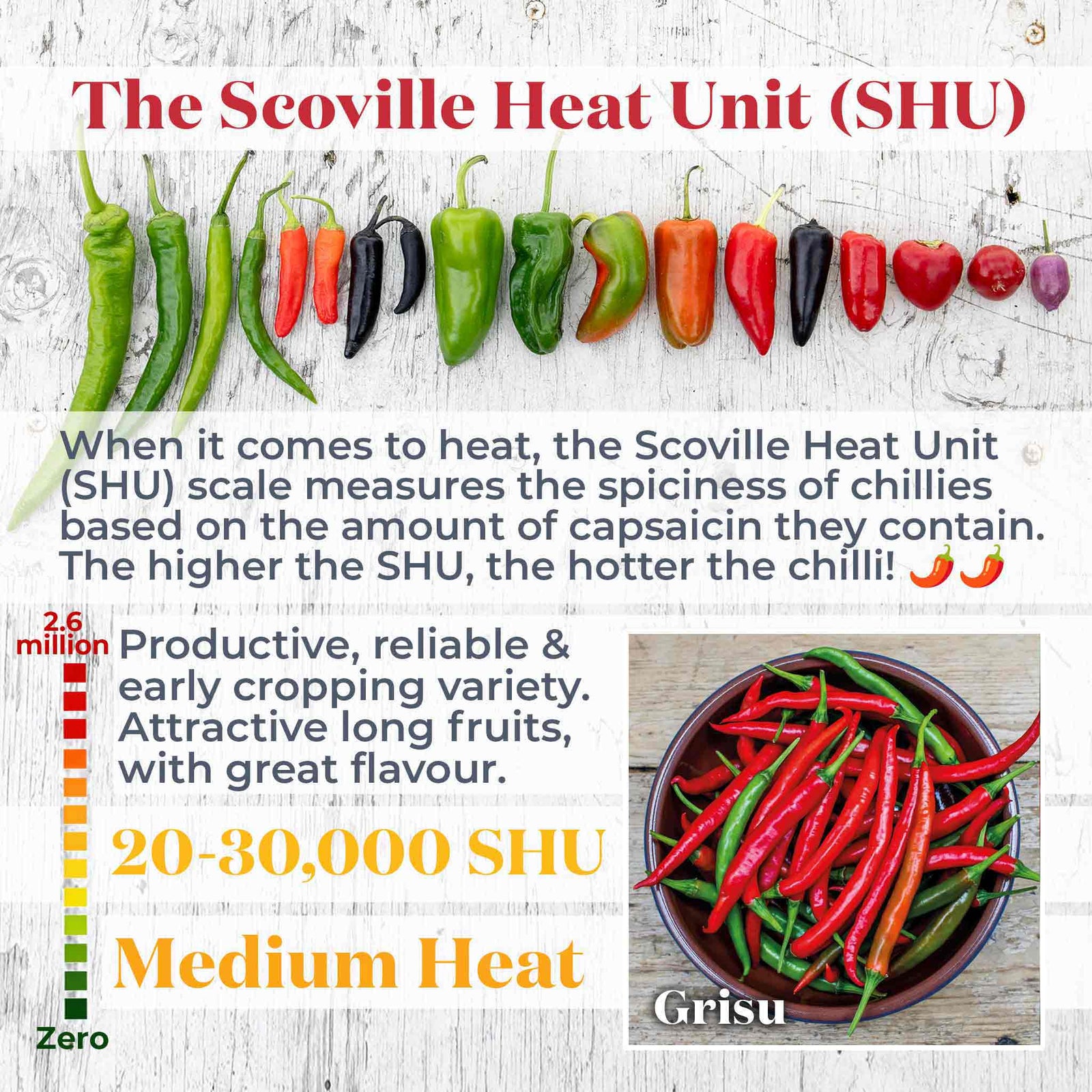 Chilli Grisu - Early Hot Restaurant-quality | 6 x 9cm | Red