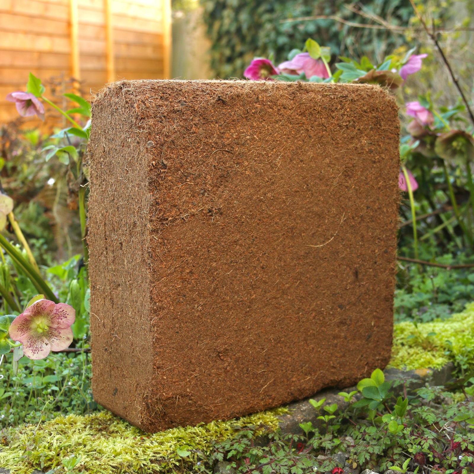 80l Coir Vital Grow Potting Mix (compost) | Coir Soil Potting Mix | Coconut Fibre Reptile, Vivarium Substrate Bedding - Coir Potting Mix