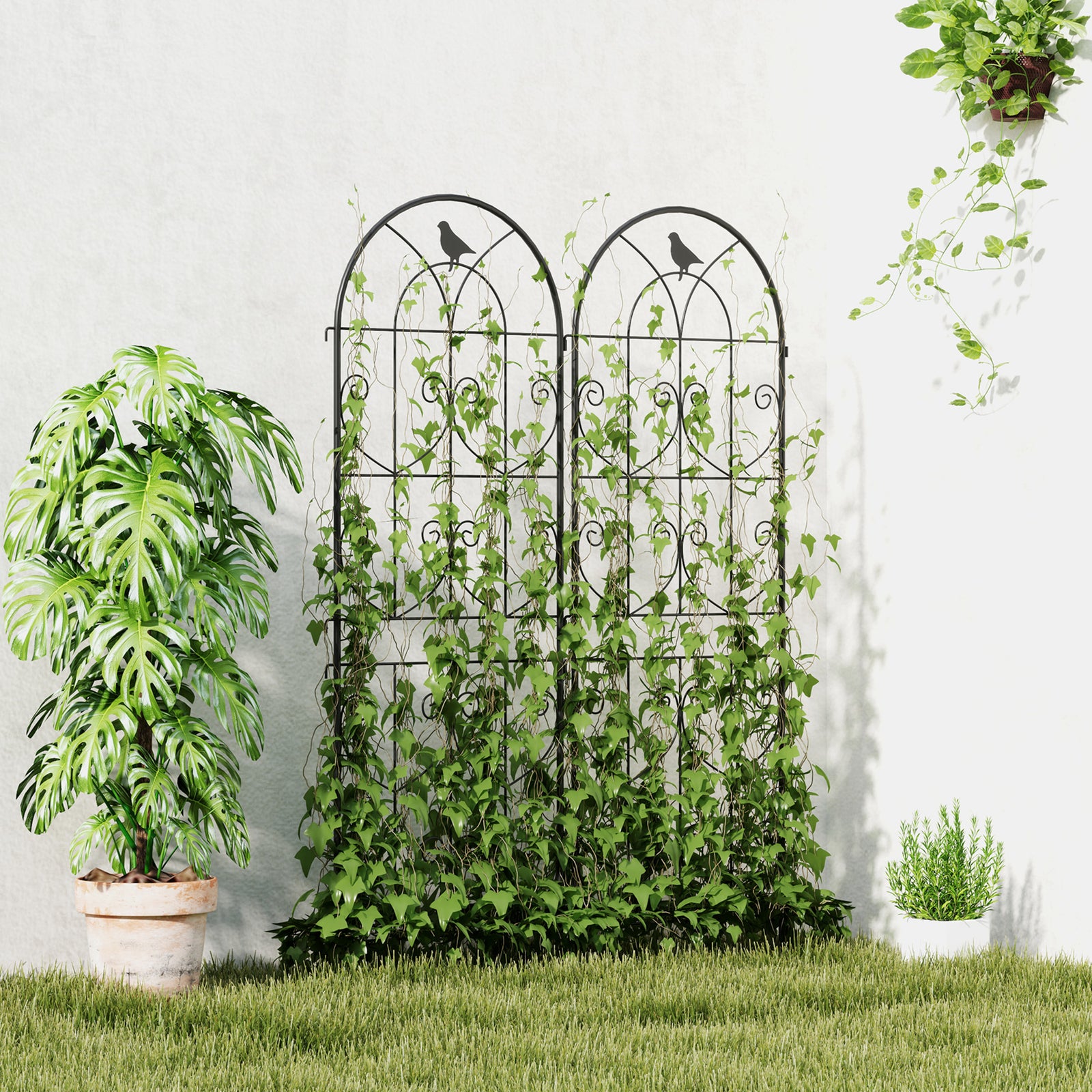 Set Of 2 Metal Garden Trellis, Outdoor Trellis Panels