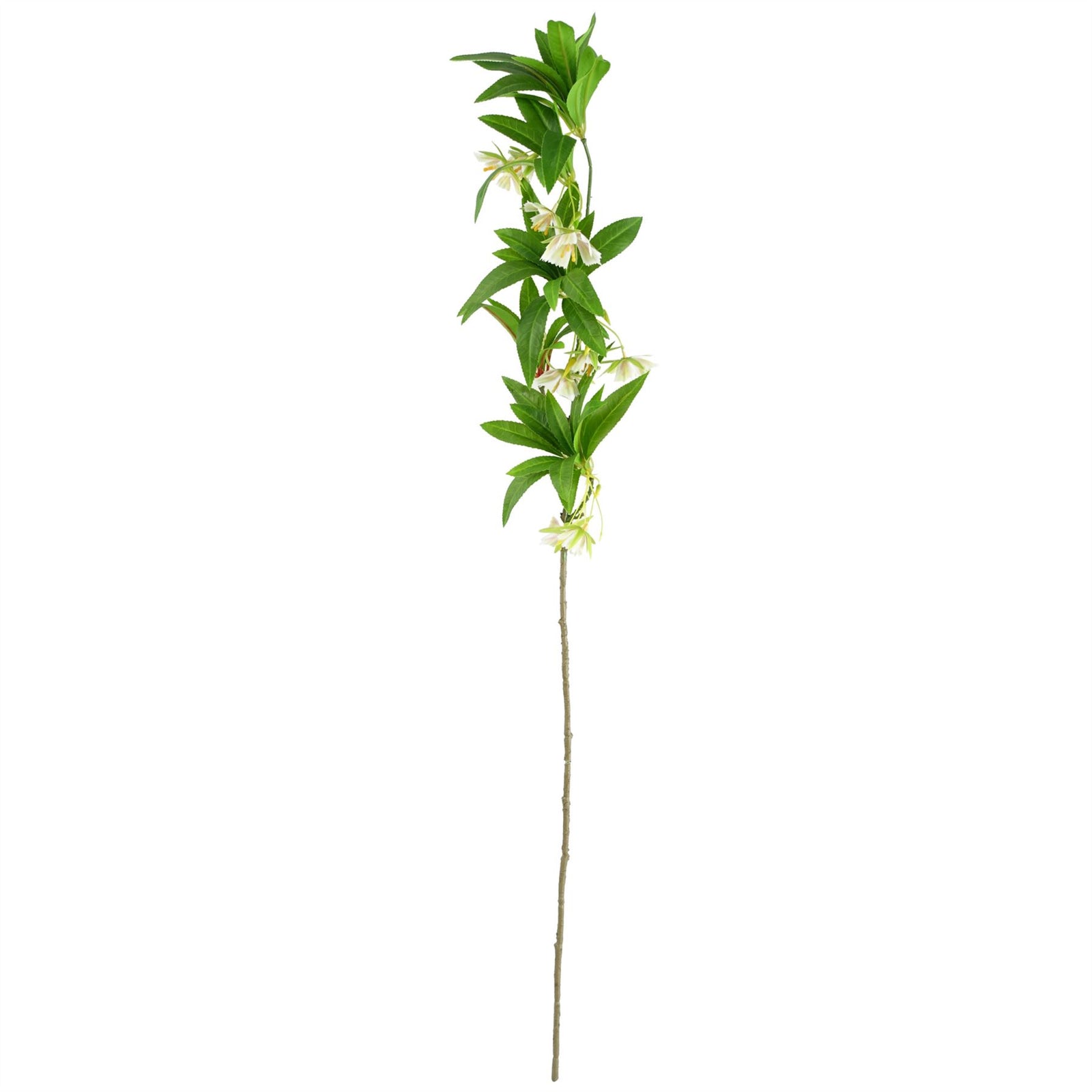 Leaf 6 X 90cm Artificial Hainan Elaeocarpus Stem