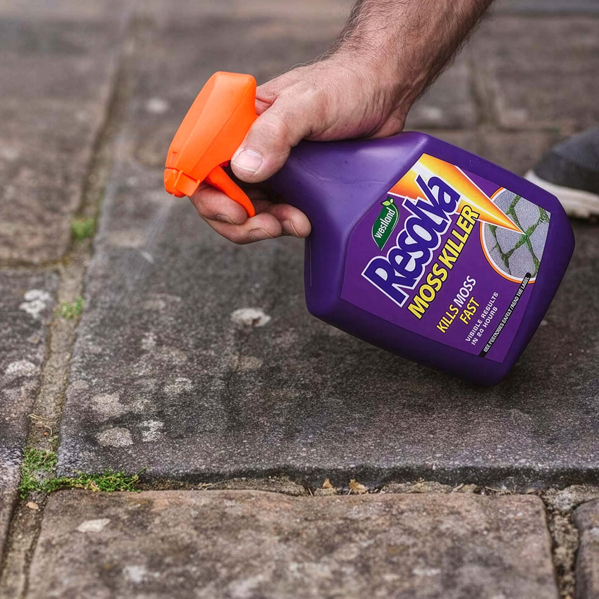 Moss Killer & Path And Drive Weed Killer | Set of 2