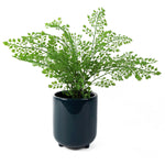 15cm Dark Teal Green / Blue Ceramic Planter With Feet