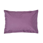 Egyptian Cotton Oxford Pillowcase 200 Tc | 48 x 74cm | Grape