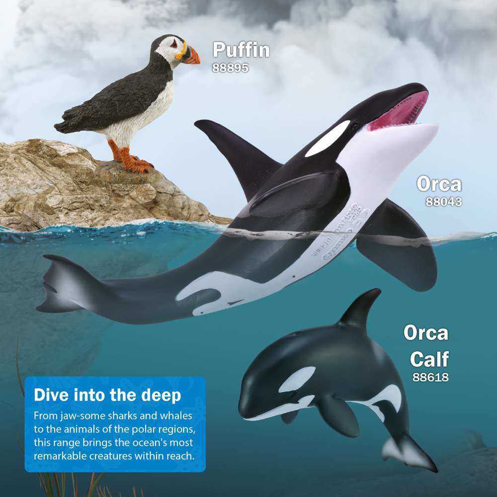 CollectA Dall's Porpoise