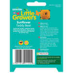 Sunflower 'teddy Bear' Seeds | 35 Seeds