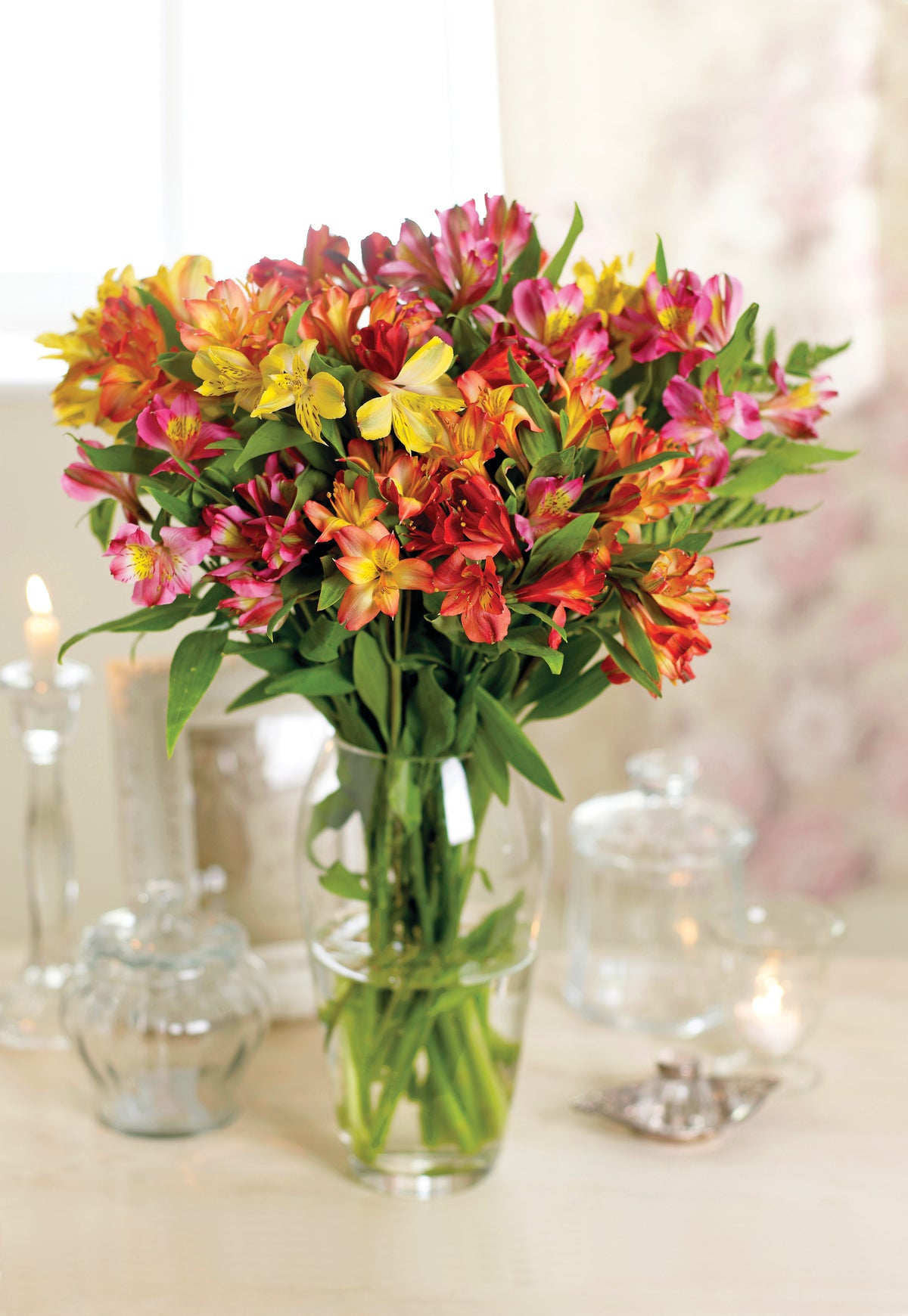 Alstroemeria Garden Hybrids Bare Roots | Set of 5
