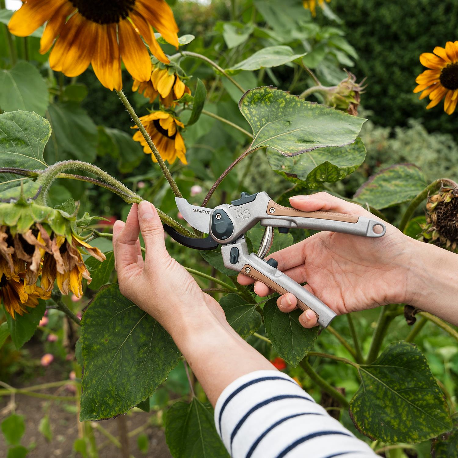 Surecut All Purpose Lite Bypass Secateurs With Carbon Steel Blades
